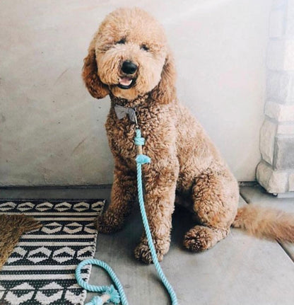 ROPE LEASH - OMBRE TEAL