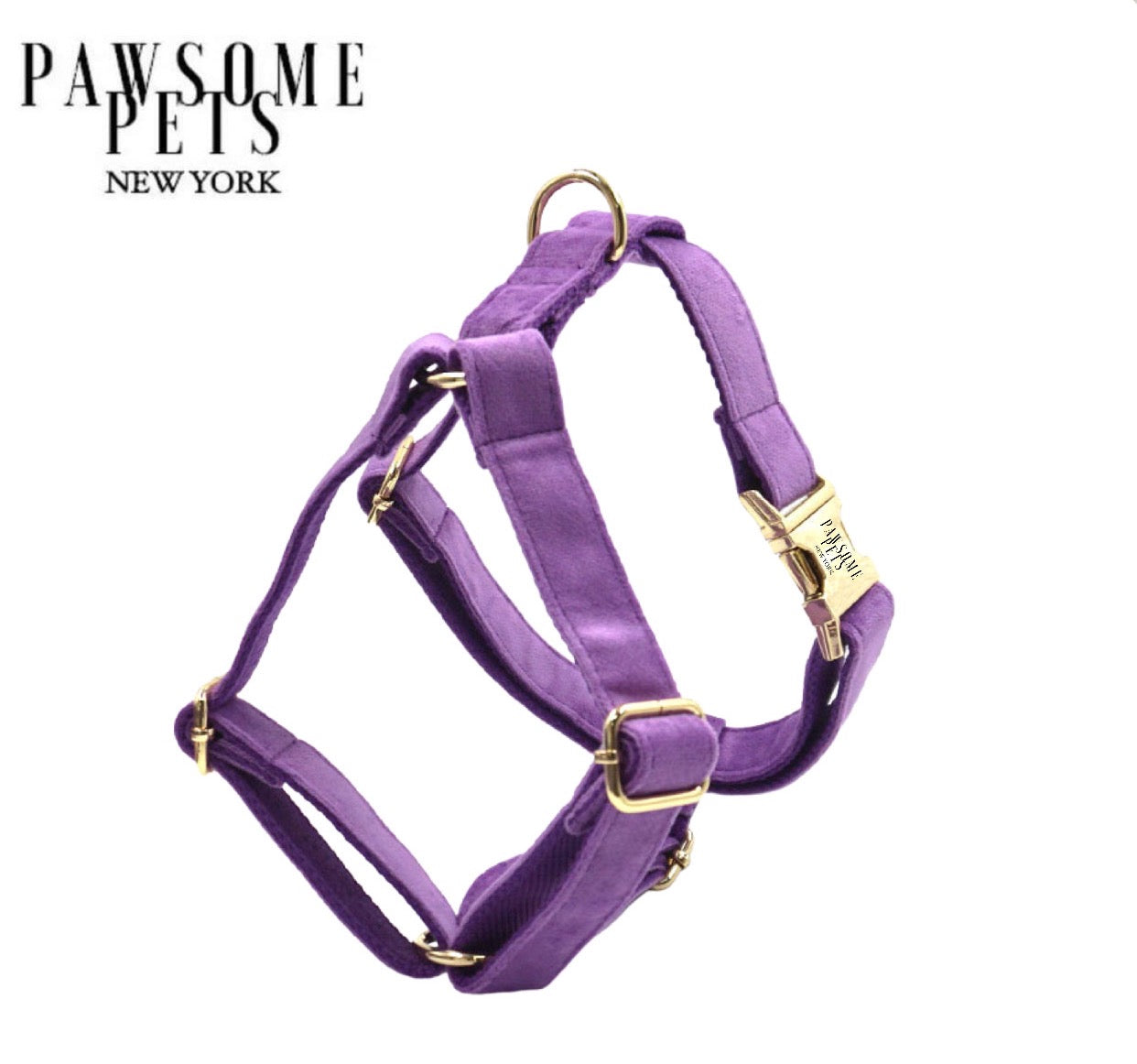 STEP IN HARNESS - DARK PURPLE by Pawsome Pets
