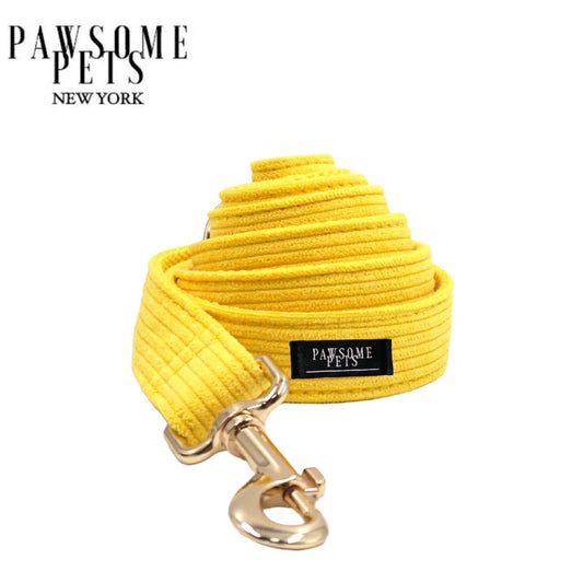 LEASH - BRIGHT YELLOW by Pawsome Pets