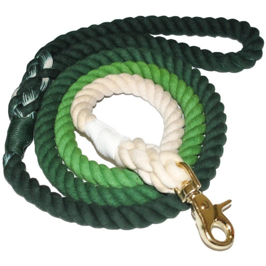 Aloe There - Dog Leash by Pawsome Pets