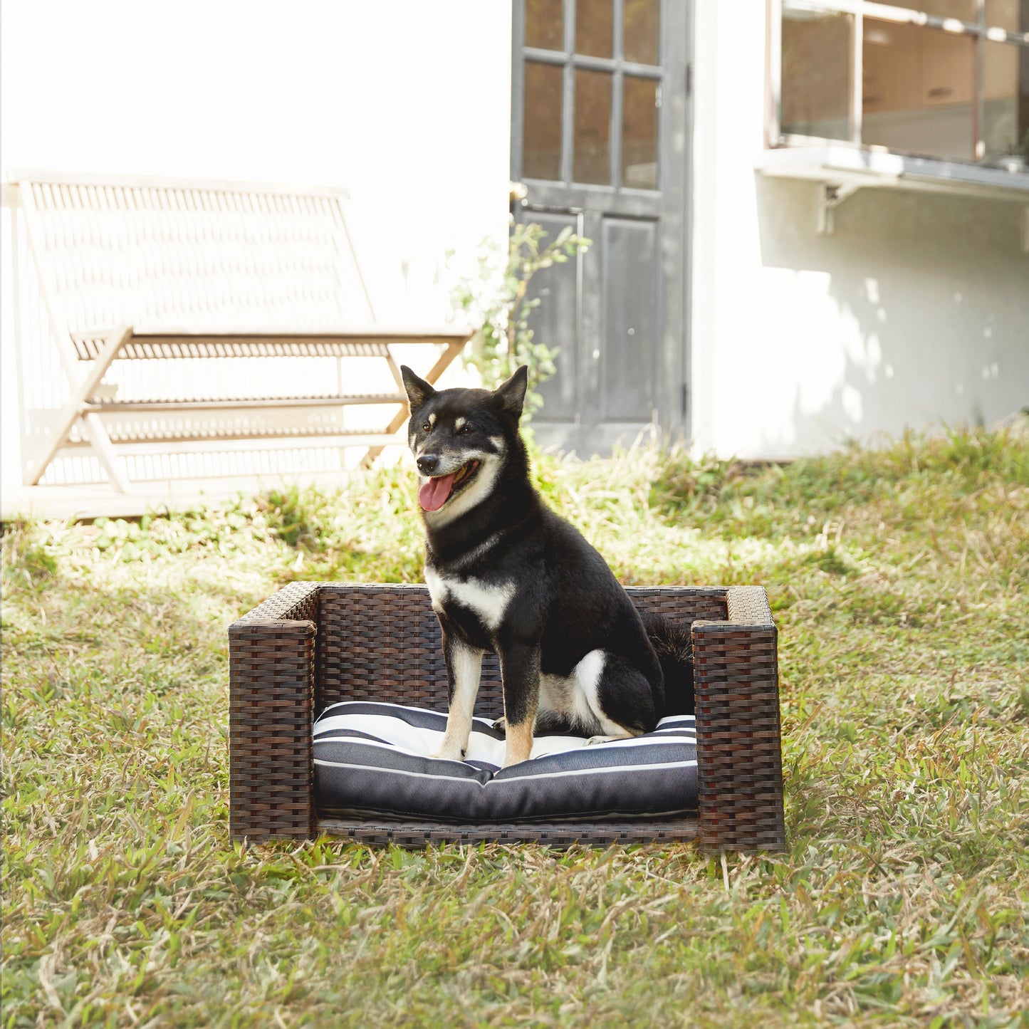 The Comfy Pets Rattan Dog or Cat Bed & Cushion